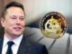 Stopelon chống lại tỷ phú Elon Musk